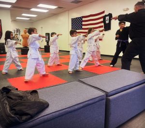 Taekwondo